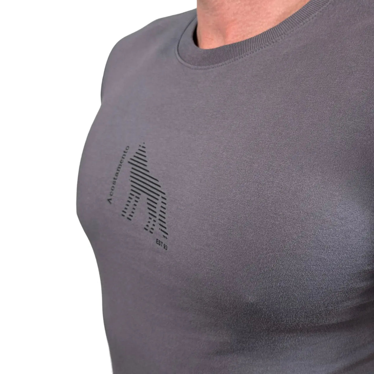 Camiseta ACT Masculina Cor Cinza