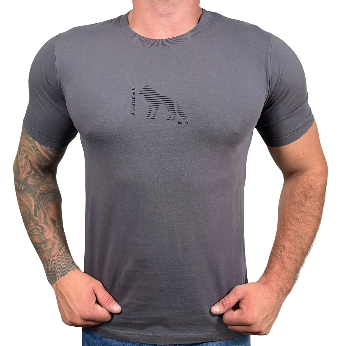 Camiseta ACT Masculina Cor Cinza